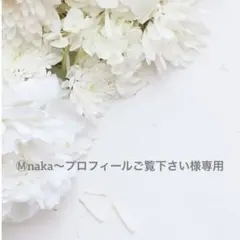 Ⓜ︎naka〜プロフィールご覧下さい様専用　確認用