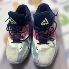 NIKE ズームフリーク4 FREAK 4