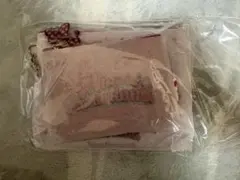 ファンダフルディズニー　限定　ミニーのファンダーランド　パルパルーザ　ポーチ