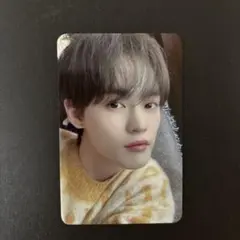 nct dream dream()scape everline チョンロ トレカ