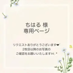 ちはる様 おまとめ5点