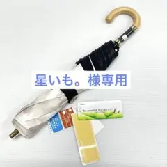 ビューランスカリグラフィー刺しゅう柄晴雨兼用パラソル傘 新品未使用