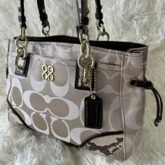 COACH コーチ パイソン シグネチャー トートバッグ チェーン ハンドバッグ