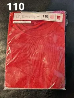 Item thumbnail for item 269ef879-a17d-4134-a33a-0add37590bea