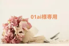 01ai様 リクエスト 2点 まとめ商品