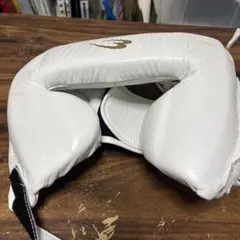 Item thumbnail for item 935dfd53-6545-4419-81fc-903ddb499268