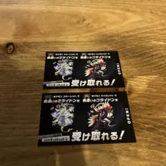色違いミライドン コライドン 2枚セット