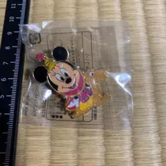 ミニーマウス　ハロウィン　アラジン　ピンバッジ　ミニーちゃん　ディズニーシー