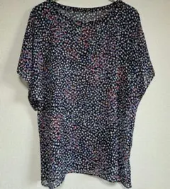 Item thumbnail for item 528cd9d4-ce04-4981-ab34-fe412efca0ea