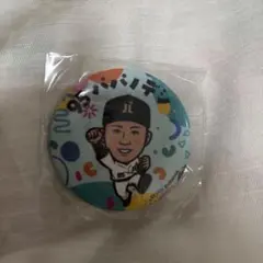 若鷹ガチャ ホークス 川瀬晃 ダイジェスト 100mm缶バッジ 若鷹ガチャ 川瀬晃選手 勝利ver. 缶バッジ ソフトバンクホークス