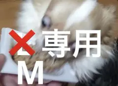 専用