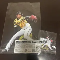阪神タイガース2025JERA セ・リーグ優勝記念くじ 才木浩人 あたり付