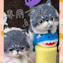 きなこ様専用のページです♪