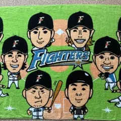 日本ハムファイターズ大谷翔平