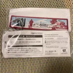 Item thumbnail for item 2ea8bb8a-0d9a-4ebf-bc47-665ae0554385