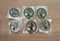 東京ディズニーリゾート　プレミアムツアー限定ピンバッジ