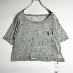 タグ付き　SNIDEL スナイデル シアーゆったりTシャツ　ポケット付き　グレーのサムネイル