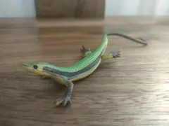 Item thumbnail for item 16321e03-fdc8-450c-9e65-1dfe7917d360