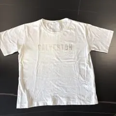 Dessin シルバーロゴ　Tシャツ ホワイト　130cmのサムネイル