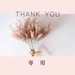 【りん様専用】あきゅらいず 基本のセレクト お試し1セット