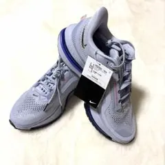 2025年最新】ペガサスプレミアム 26の人気アイテム - メルカリ