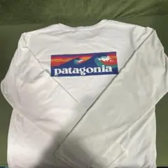 patagonia Capilene Cool Daily Tシャツ XS