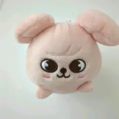 2025年最新】スンミン skzoo ぬいぐるみの人気アイテム - メルカリ