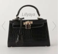 ★最終価格★【美品】 PETA+JAIN HEDIバッグ ブラック