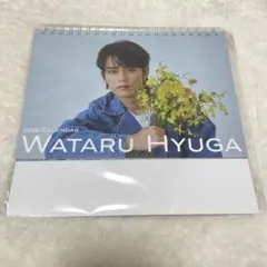 はる様 リクエスト 2点 まとめ商品