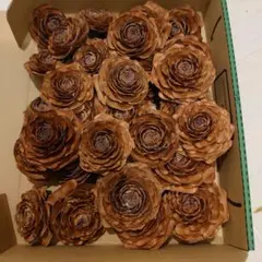 Item thumbnail for item 09397a7f-0b72-42a2-a732-55d7a7f2a417