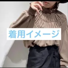 【新品・未使用】TRANOI. ブラウス 2026年最新】TRANOI レディース 長袖 シャツ・ブラウスの人気アイテム