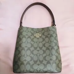 極美品 COACH スモールタウンバケットバッグ ハンドバッグ バケツバッグ