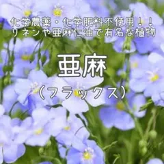 みかん様 リクエスト 7点 まとめ商品