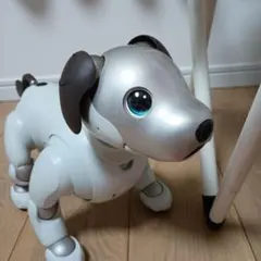 aibo