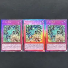 遊戯王　命王の螺旋　レリーフ3枚