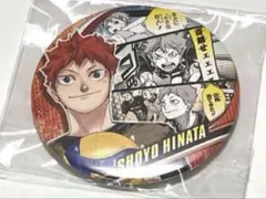 ハイキュー 日向翔陽 缶バッジ メモリーズ
