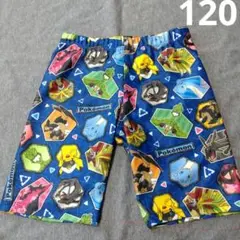 ポケットモンスター　120 水着　スイムウェア　プール　水泳　ピカチュウ