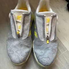 adidasゴルフ　コードカオス2022 25センチ