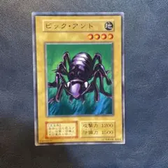 遊戯王　ビックアント　初期　ノーマル
