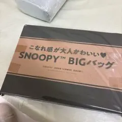 SNOOPY BIGバッグ レタスクラブ　付録のサムネイル