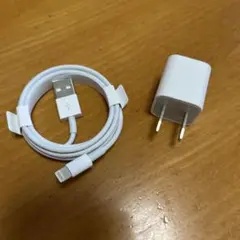 LightningケーブルとUSB充電器セット