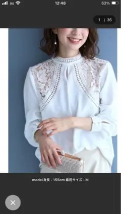 CAWAII♡シアー レース きれいめブラウス 立ち襟 長袖　定価約10000円