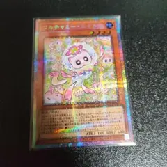 マルチャミーニャルス プリシク