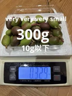 2026年最新】摘果マンゴーの人気アイテム - メルカリ