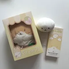 2026年最新】ベッキョン トレギの人気アイテム - メルカリ