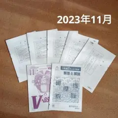 V模擬 Vもぎ 2023年11月 都立そっくりもぎ