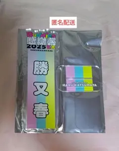 Item thumbnail for item 5fe8fcd3-6607-472b-a50a-8056d131b7e3