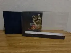 UNISONSQUAREGARDEN 「Ninth Peel」　完全生産限定盤