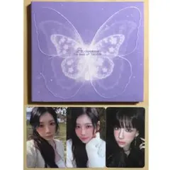 初期難あり】少女時代 テヨン Panorama LP ver. - メルカリ