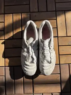 アシックス　DS LIGHT X-FLY 5 25.5cm